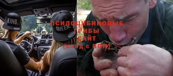 соль курить ск Богданович