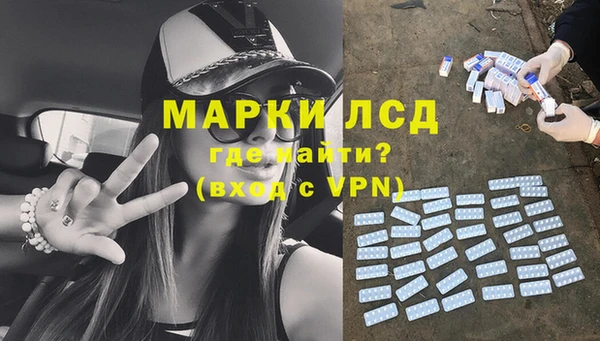 ГАЛЛЮЦИНОГЕННЫЕ ГРИБЫ Беломорск