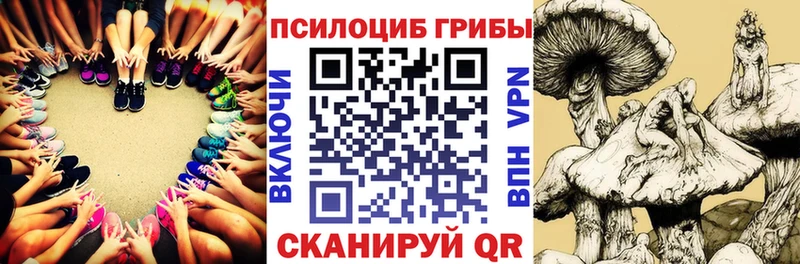 хочу наркоту  Будённовск  Псилоцибиновые грибы ЛСД 
